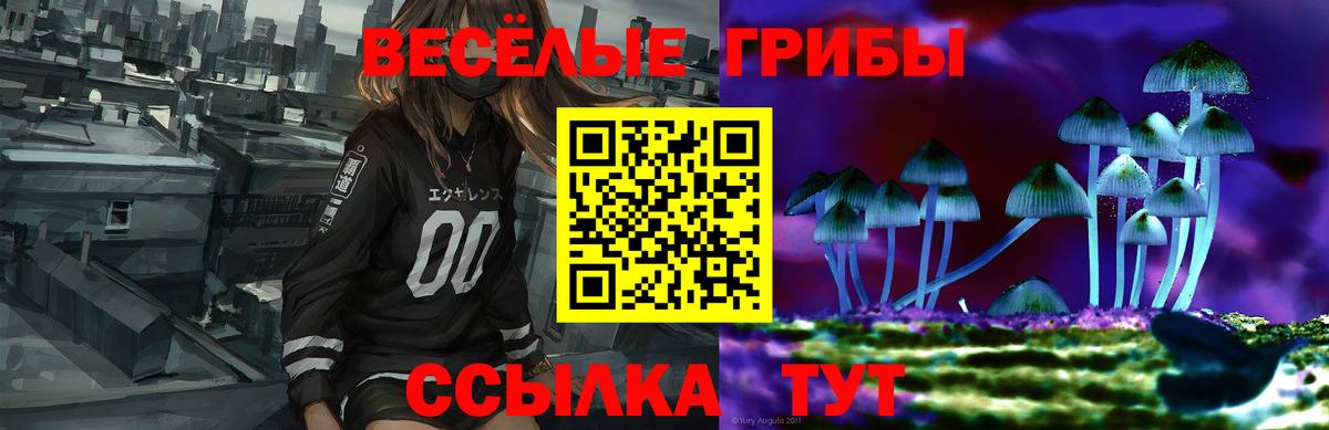 Галлюциногенные грибы мухоморы  Вход с VPN  Галлюциногенные грибы мухоморы  Краснознаменск 