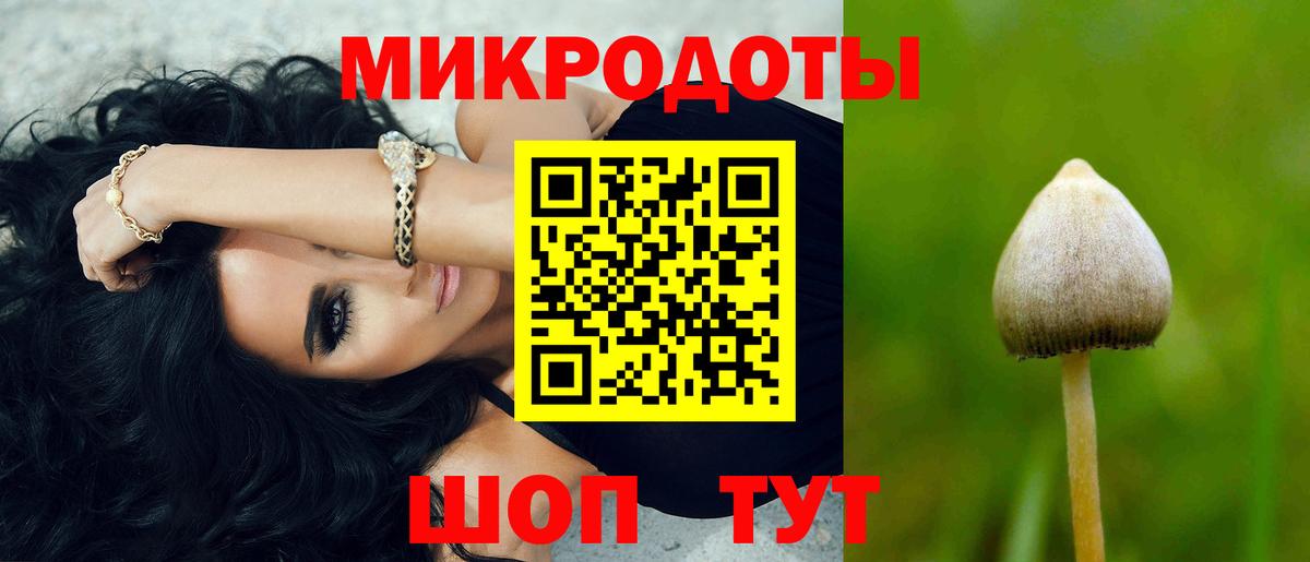 Галлюциногенные грибы Psilocybine cubensis Краснознаменск